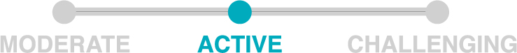 Difficulty_active