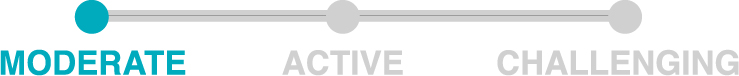 Difficulty_moderate